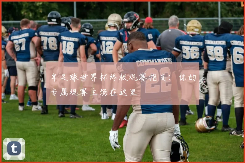年足球世界杯终极观赛指南：你的专属观赛主场在这里