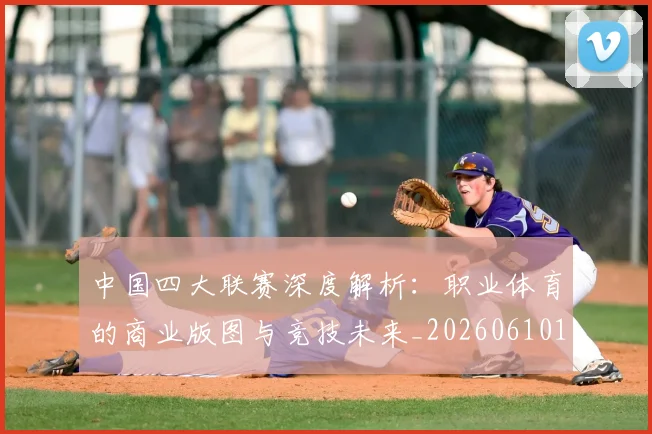 中国四大联赛深度解析:职业体育的商业版图与竞技未来_20260610190253